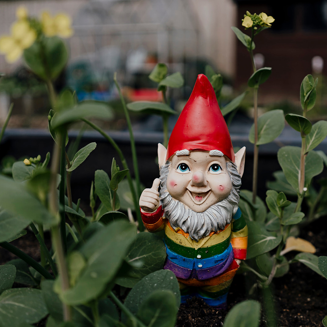 HN Thecuttings 140422 5